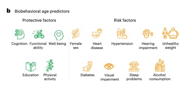 截屏2025-11-17 15.36.48