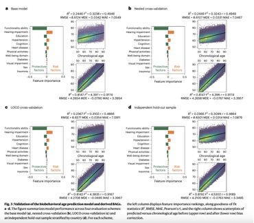截屏2025-11-17 15.39.56
