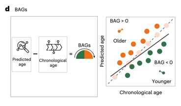 截屏2025-11-17 15.37.25